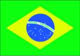 Sao Paulo Flag